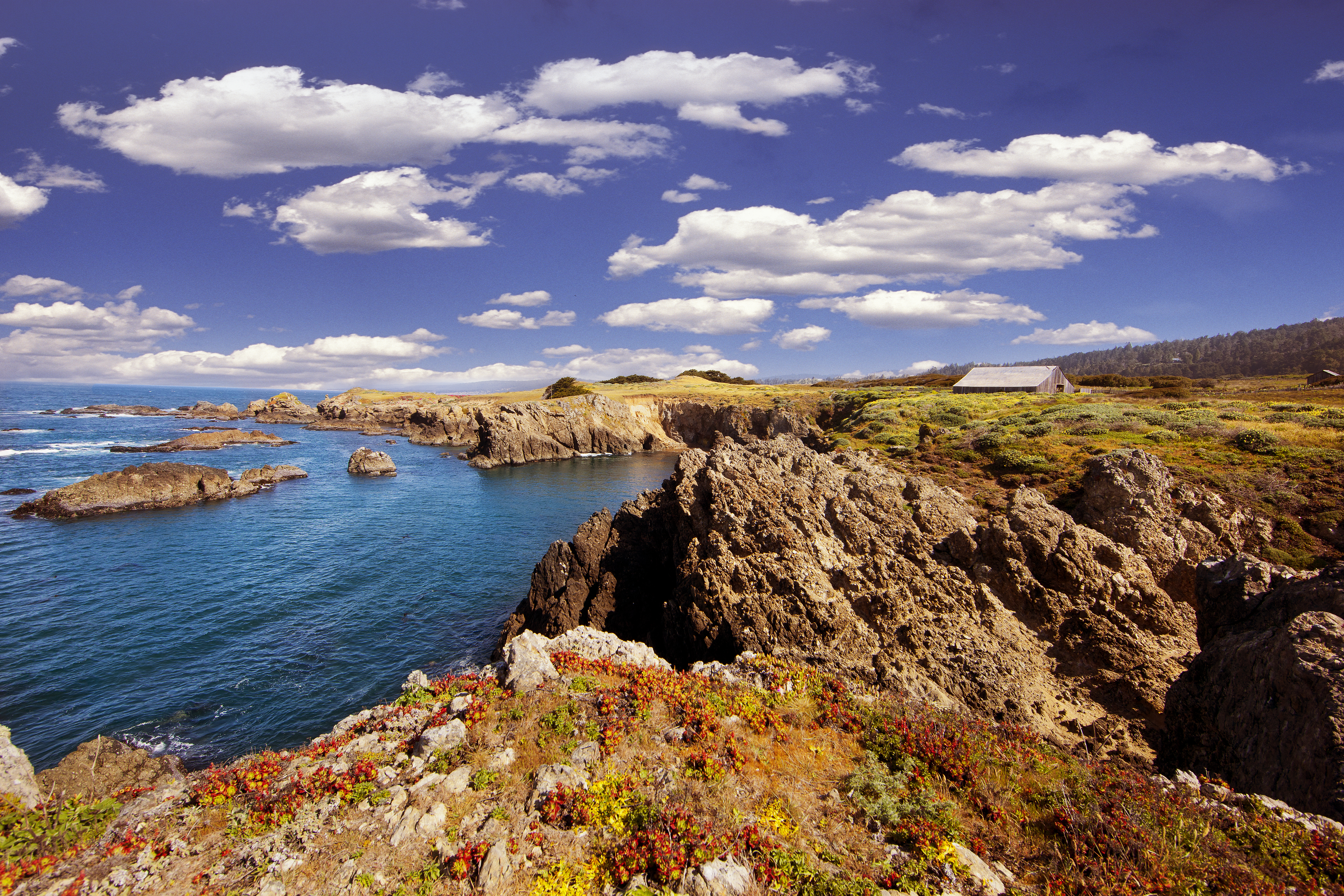 Bihler Point and coastline